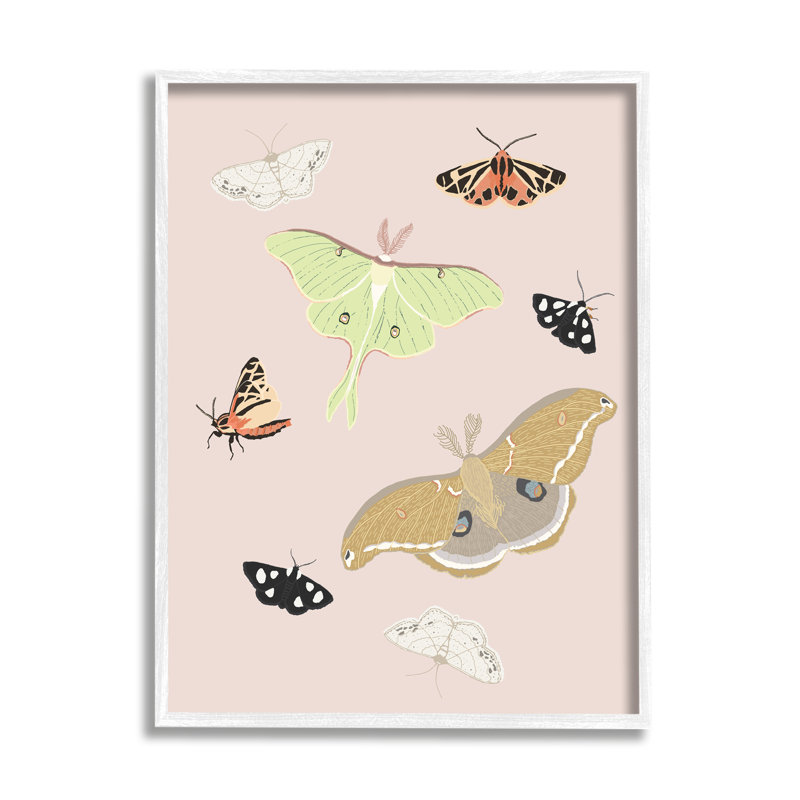 Moths and Butterflies on Pink Canvas Print with Black Frame