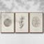 Shore Treasure Study I 3 pièces-97711595-97711596