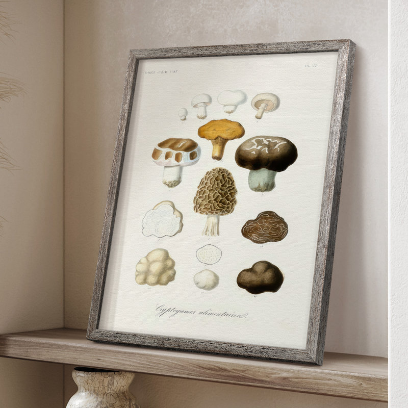Reproduction encadrée de fruits et légumes IV - bois massif, H 11 po x l 9 po
