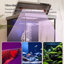 Aquarium 19,69 po-1623480436