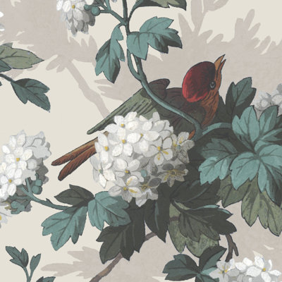 Rouleau de papier peint lisse L 34,45 pi x l 20,47 po Bird Bird