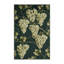  Tapis lavable raisins sans pépins de fruits Thompson-1586717800