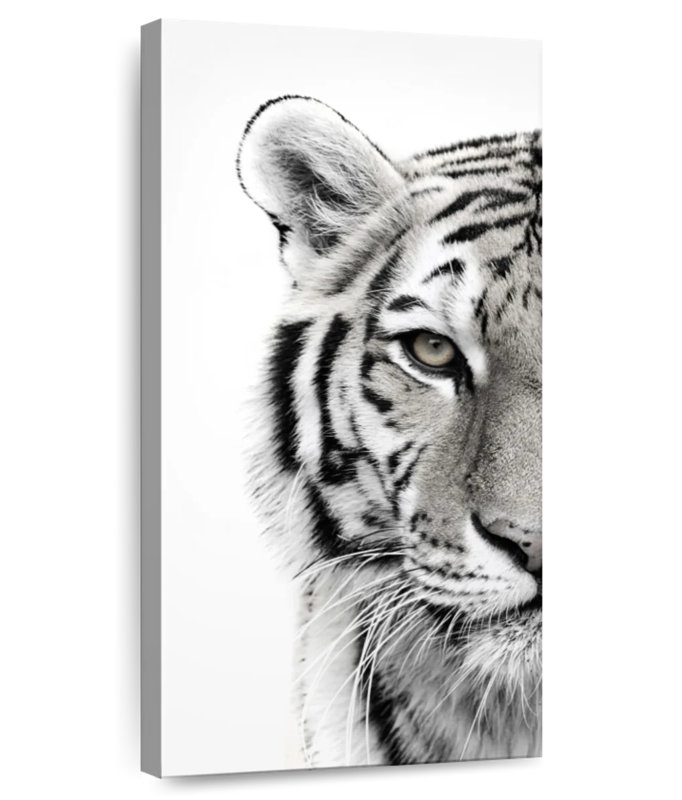 Tigre blanc, H 42 po x l 21 po