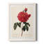 Red Botanical III - cadre photo, impression sur toile-61317222-61317228