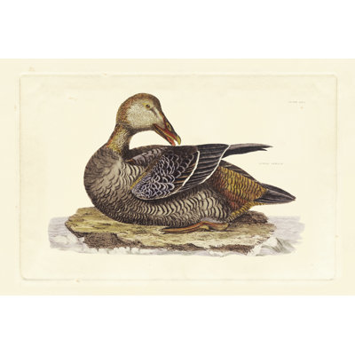 Selby Duck IV - Wrapped Canvas Painting
