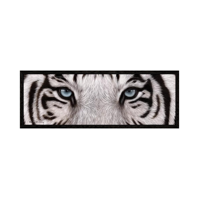 White Tiger Eyes by Rachel Stribbling - Panoramic Print on Canvas, 30.48 cm H x 91.44 cm W, Black Framed