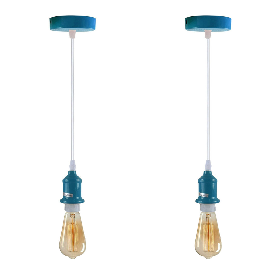 Carnbore 2-Light Single Bulb Pendant