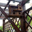 Maison d'oiseaux en bois Mohit, maison d'écureuil pour petits oiseaux