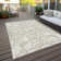 Chayden Washable Damask Indoor / Outdoor Rug
