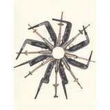 Variety Of The Species Print by Lisa Eisenbrey