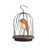 Papaye orange / noir est en rupture de stock
