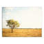 «Lone Tree in Field», reproduction d'art sur toile non encadrée
