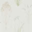 Farne Grasses Wallpaper-50888826