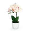 Centres de table orchidées phalaenopsis en pot-1994886771-1996288490