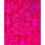 Tapis unique noué à la main Rachal - rose, 4 pi 9 po x 6 pi 10 po