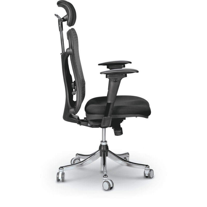 Giannis Task Chair with Headrest