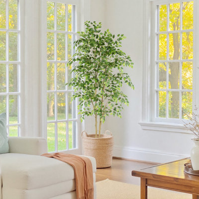 Ficus Tree Artificial in Pot with Full and Vibrant Leaves and Realistic Trunk for home Decor.