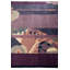 Tapis violet Jacoby
