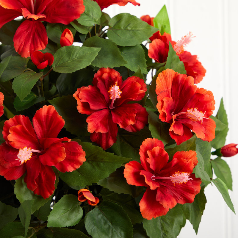 Arrangement floral d'hibiscus dans un vase