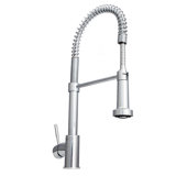 Apollo Pull Down Single Handle Kitchen Faucet with Side Spray and Accessories