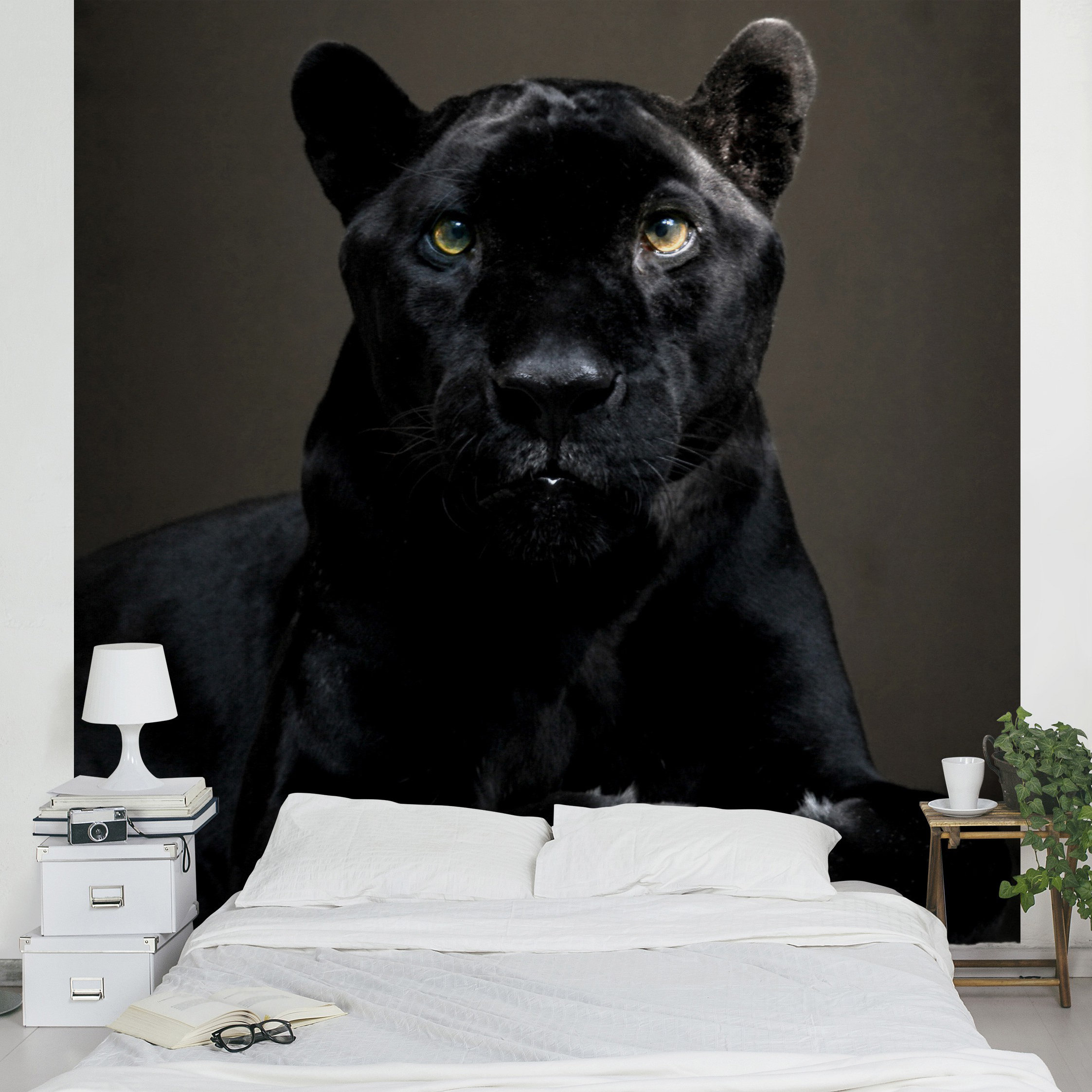 Decke Puma schwarz | Deckenkunst Manufaktur