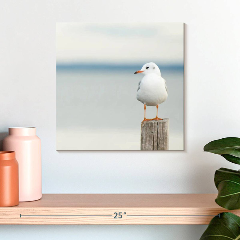 Brampt Perched White Seagull, 16" H x 16" W