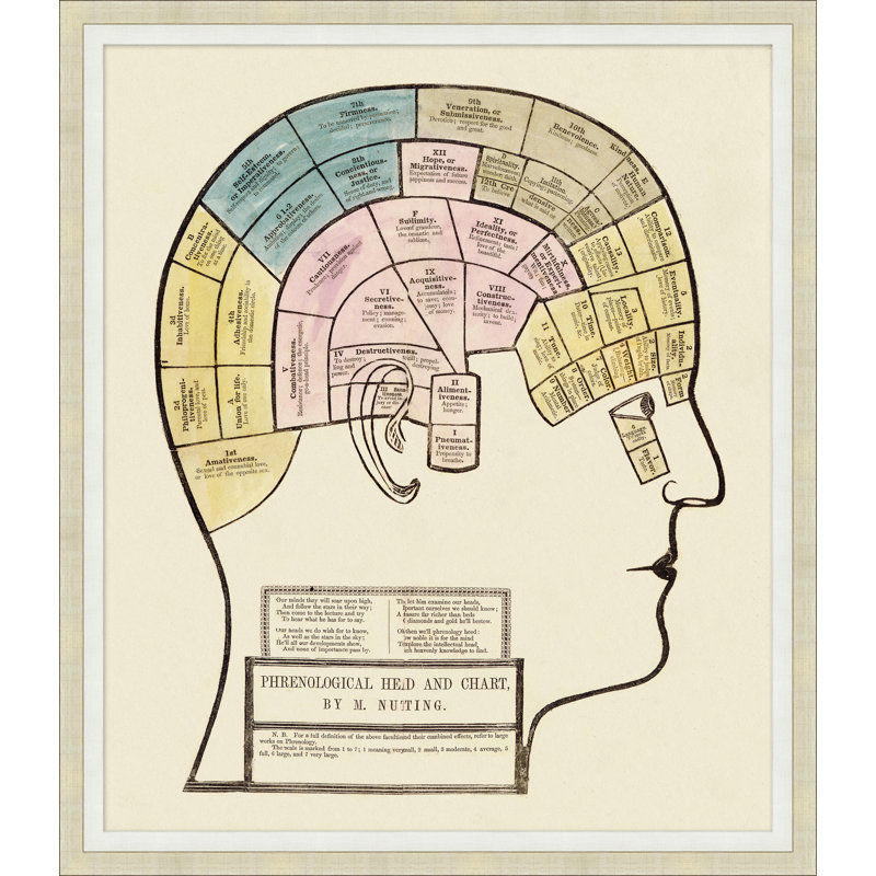 Brain Chart Print