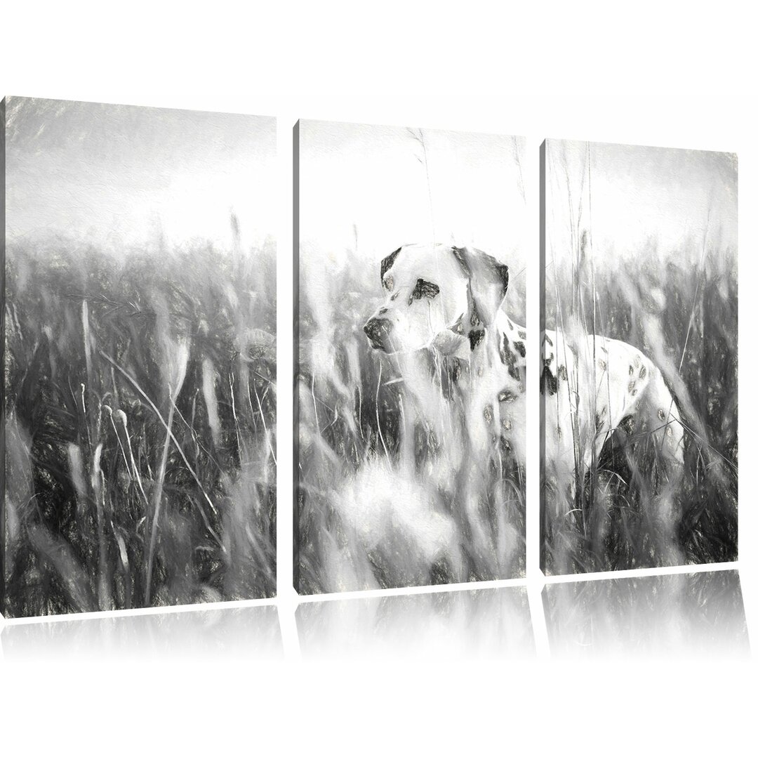 3-tlg. Leinwandbild-Set „Neugieriger Hund im Feld“, Kunstdruck