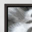 Silver Eyes Print by Beverly Fuller-70313868