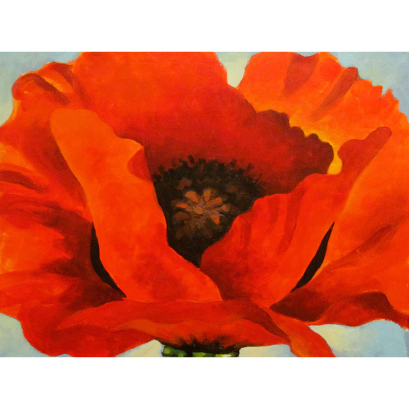 Coquelicot rouge