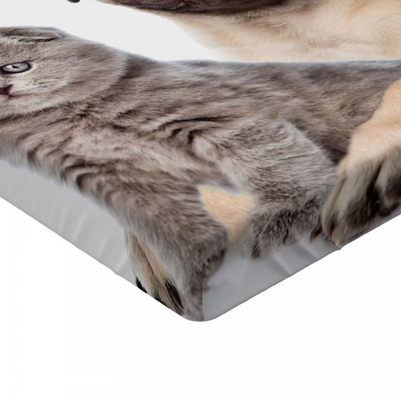 Microfiber Fitted Sheet, Queen Fitted Sheet