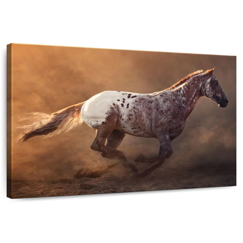 Fast Appaloosa Horse, 30" H x 45" W