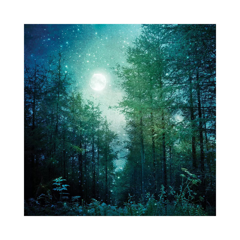 Enchanted Forest by Ros Berryman - Wrapped Canvas Print, 66.04 cm H x 66.04 cm W x 3.175 cm D