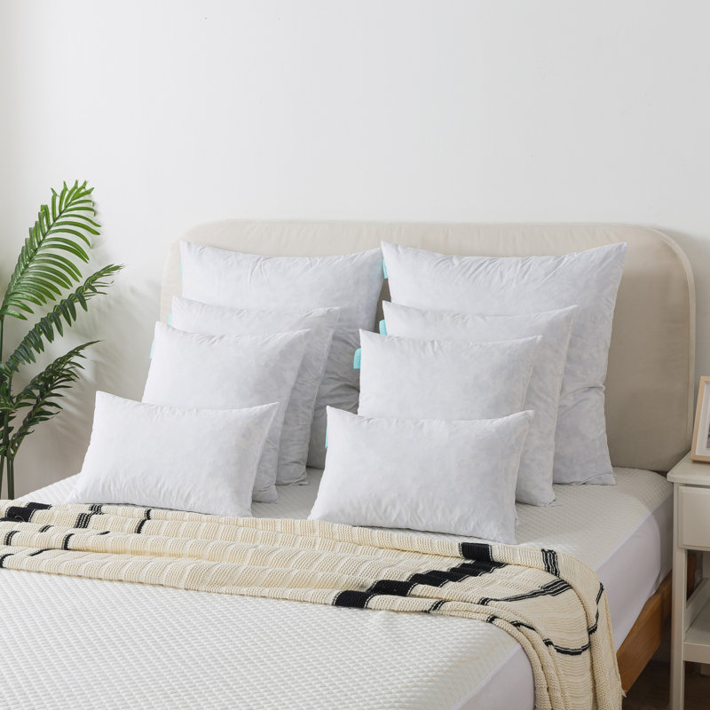 Insert de coussin