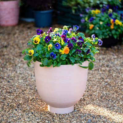 Catalda Pot Planter