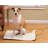 Heated Pet Pad-2845565