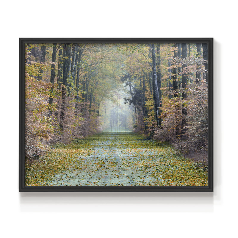 Sentier enchanté - reproduction encadrée - réaménageable, H 11 po x l 14 po, Noir