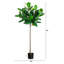 5 pi. Petit ficus artificiel Audrey