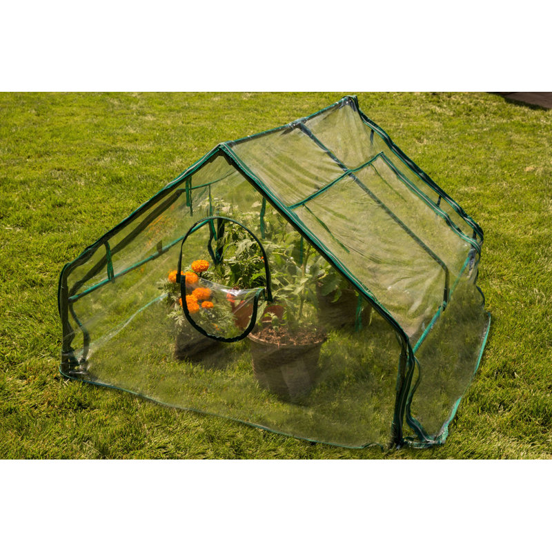 4 ft. W x 4 ft. D Cold Frame