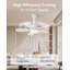 Ceiling Fan with LED Lights
