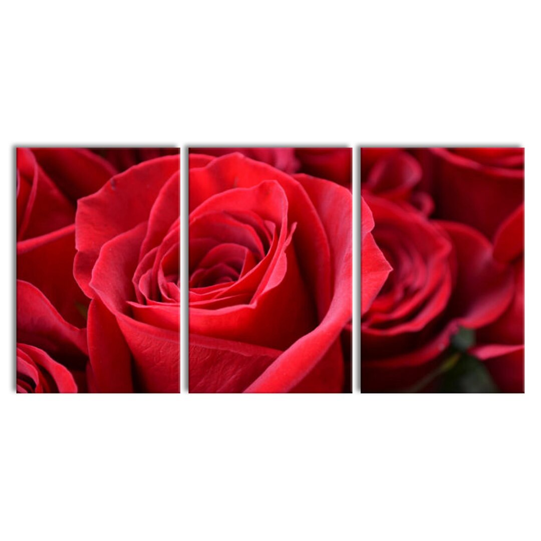 3-tlg. Leinwandbilder-Set Romantic Roses