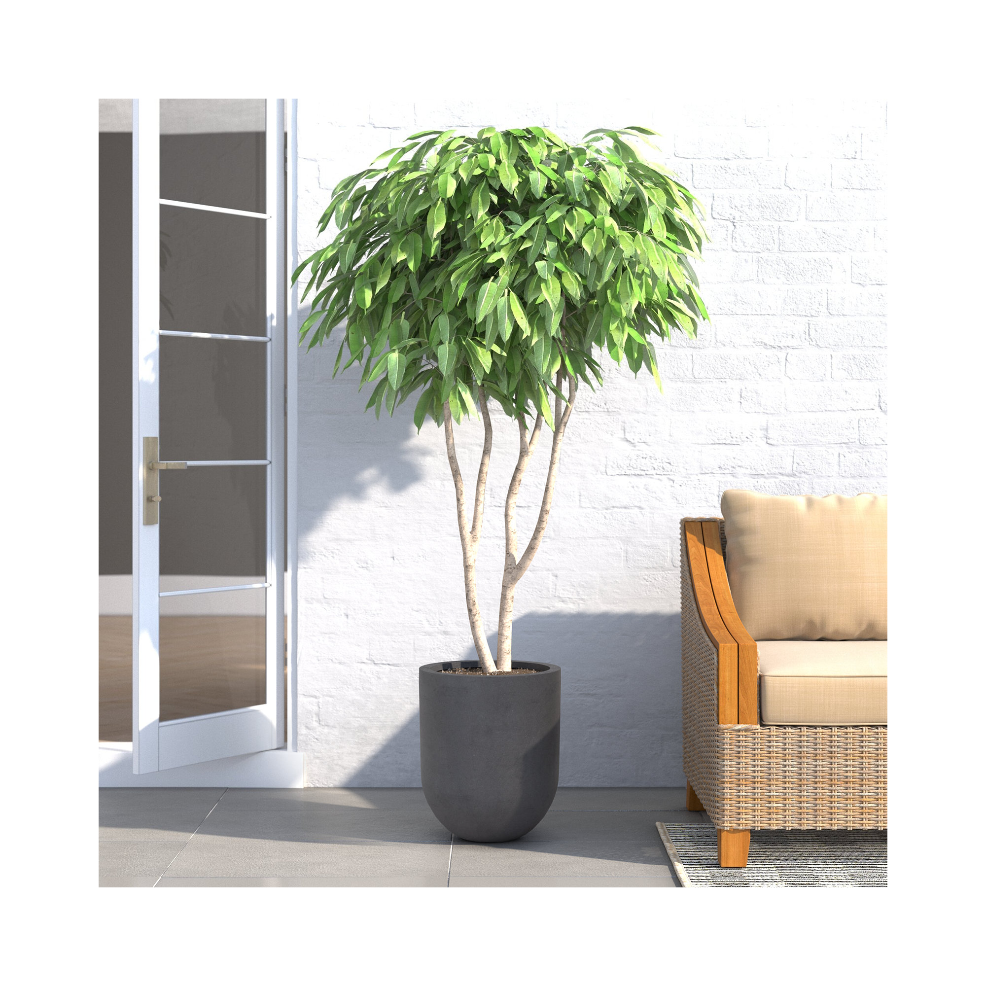 Ceola Pot Planter, 17.5" H x 14.75" W x 14.75" D