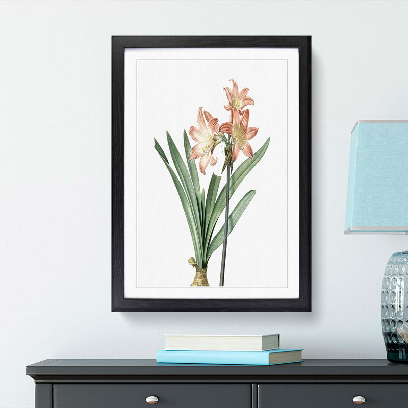 Amaryllis Flowers in Pink 1 Piece Single Picture Frame Painting, 33cm H x 24cm W x 2cm D, Black Framed