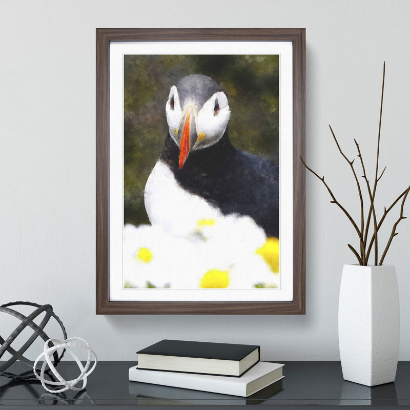 Atlantic Puffin Birds Vol.2 - Picture Frame Painting, 65cm H x 48cm W x 2cm D, Walnut Framed