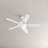 Stoller 44'' Ceiling Fan with LED Lights-1890736889-1930372183
