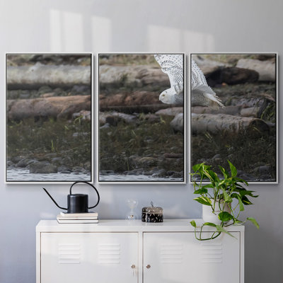 " Solo Flight " 3 - Pieces