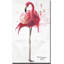 Flamant II - impression sur toile tendue-22262591