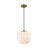 1 - Light Single Pendant