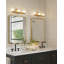 Birch 3 - Light LED Vanity Light-507623459