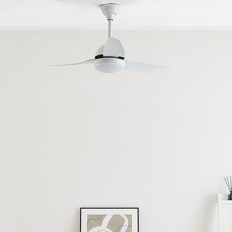 Ayverie 114cm Ceiling Fan with Light Kit, White